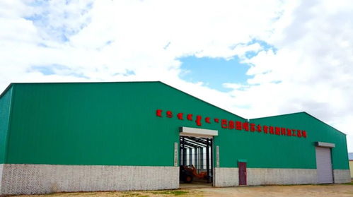 高原黑金 錫林郭勒羊糞如何成為國(guó)家地標(biāo)農(nóng)產(chǎn)品的秘密